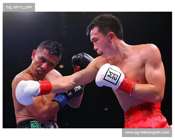 徐灿宣布复出挑战世界拳击舞台 揭秘备战计划与未来目标